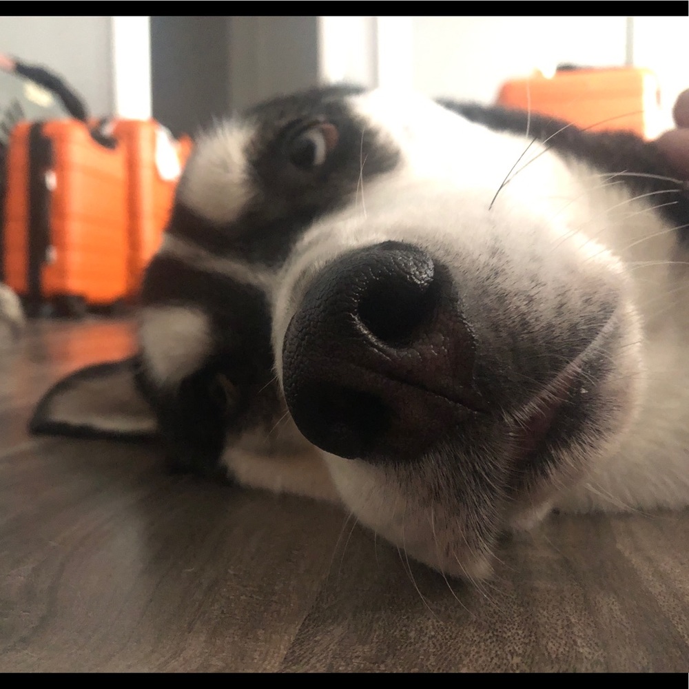 Meet your Posher, Jess